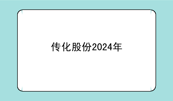 传化股份2024年